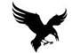 Black Raven Investigations logo