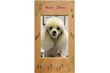 Roxie Delux Dog Grooming image 3