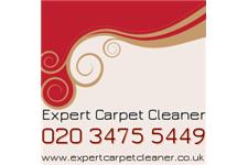 Expert Carpet Cleaner image 1