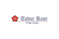 Tudor Rose Tree Care image 1