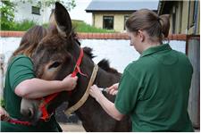 The Donkey Sanctuary Leeds image 4