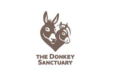 The Donkey Sanctuary Belfast image 1