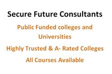 secure future consultants image 1