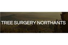 Tree Surgery Northants image 1