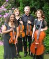 Cleveden String Quartet image 2