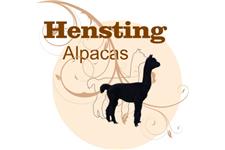 Hensting Alpacas image 1