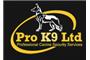 Pro K9 logo