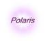 SEO Polaris Website Solutions logo