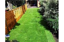 Green Lawn Turf image 3