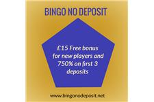 No Deposit Bingo image 1