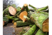 Glasgow Tree Services image 2