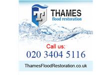 Thames Flood Restoration London image 2