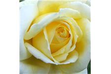 Lemon Rose Therapies image 1