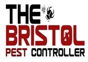 Bristol Pest Control image 1