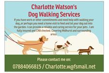 Charlotte Watson's Dog Walking Services image 1