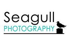 Seagull Photography image 11