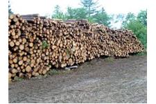 Scottish Firewood image 3