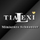 Tialexi Miniature Schnauzers image 1