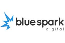 Blue Spark Digital Ltd image 1
