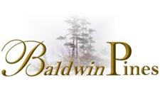 BaldwinPines Inc image 1