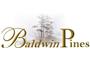 BaldwinPines Inc logo