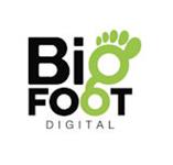 Bigfoot Digital Ltd image 1