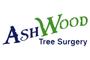 Ashwood Tree Surgery Ltd logo