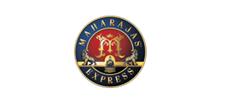Maharaja Express Journey image 1