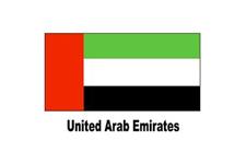 Dubai Visa Service image 1