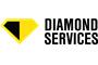 Diamond Services South East logo