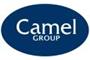 Camel Glass and Joinery Ltd logo
