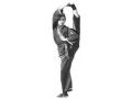 (Kids Kung Fu, Martial Arts) Northern Shaolin System Kung-Fu Traditional Wu-Shu image 2