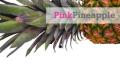 (WEB ONLY) Pink Pineapple (WE image 1