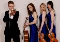 007 string quartet image 2