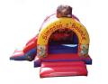 1st for fun D.J's BOUNCY CASTLE HIRE image 4