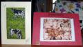 3d material greeting cards (Cushion Pleasure Cards) & Animal Rescue image 2