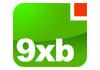 9XB Digital Agency image 2