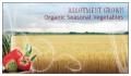 ALLOTMENT GROWN logo