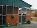 ANIMAL HEAVEN KENNELS & CATTERY image 2