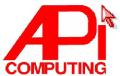 API Computer Support Systems logo