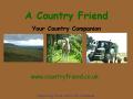 A Country Friend image 1