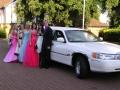 A star 4 the day Limousines image 3