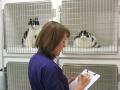 Abbeywell Veterinary Clinic image 3