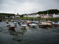 Aberaeron image 8