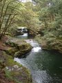 Aberdulais Falls image 10