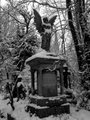 Abney Park Cemetery image 5