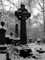 Abney Park Cemetery image 8