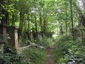Abney Park Cemetery image 1