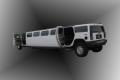 Ace Limousine image 1