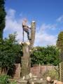Acme Tree Services Ltd image 4